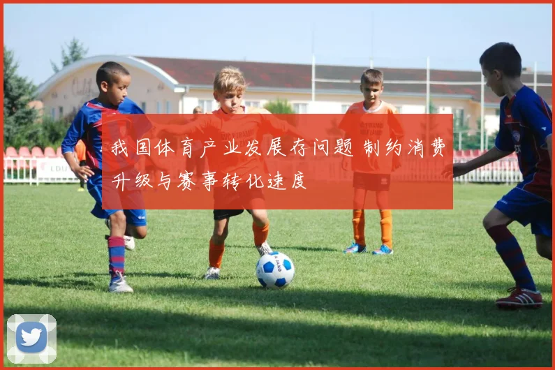 我国体育产业发展存问题 制约消费升级与赛事转化速度