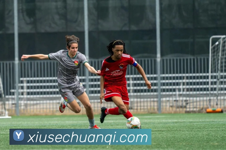 leyu乐鱼官方在线登录入口平台生态图